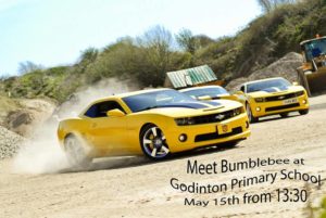 Godinton Fundraiser Bumblebee