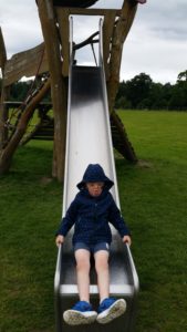 Briarlands Family Day Scotland, Slide